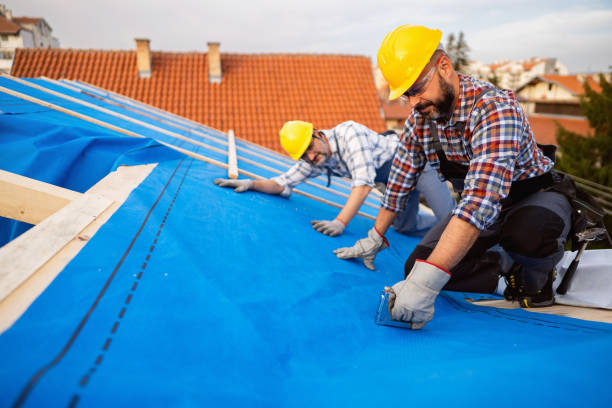 Best Roof Ventilation Installation  in Summerville, GA